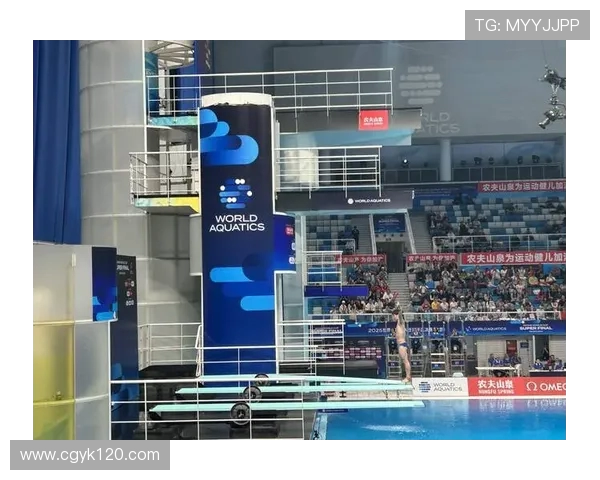 全球顶级游泳馆跳台的安全系数评估